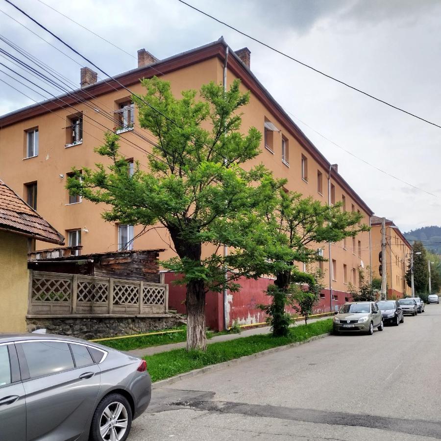 Apartament Camelia Petroşani Esterno foto